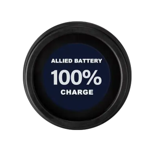 Comm Port State of Charger Meter - Blue Allied Lithium Golf Cart and Boat Batteries
